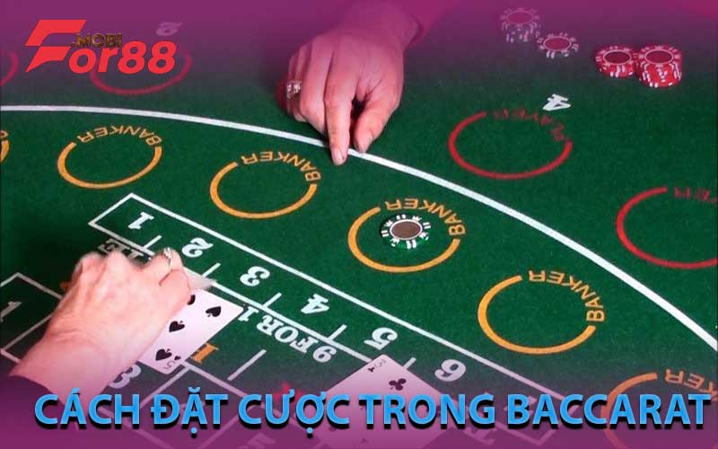 cách đặt cược trong baccarat